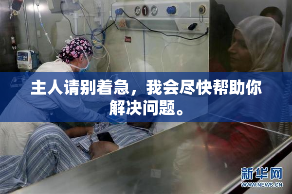 主人请别着急，我会尽快帮助你解决问题。
