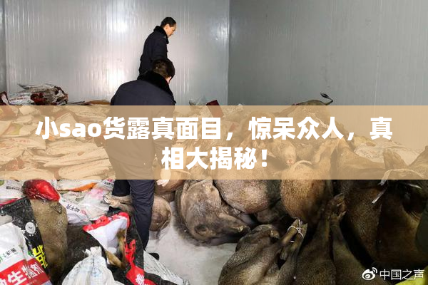 小sao货露真面目，惊呆众人，真相大揭秘！