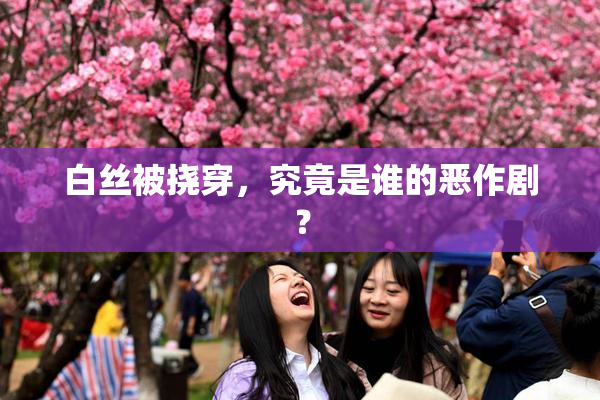 白丝被挠穿，究竟是谁的恶作剧？