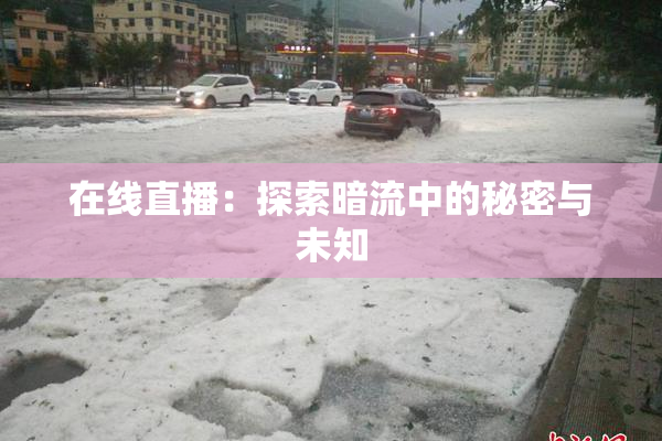 在线直播：探索暗流中的秘密与未知