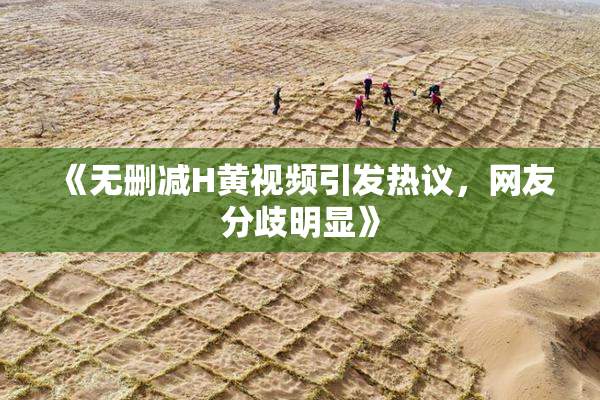 《无删减H黄视频引发热议，网友分歧明显》
