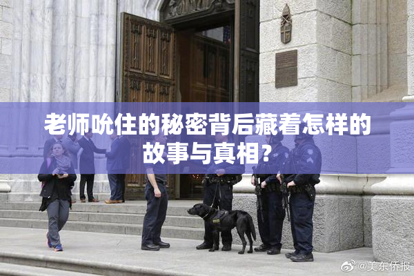 老师吮住的秘密背后藏着怎样的故事与真相？