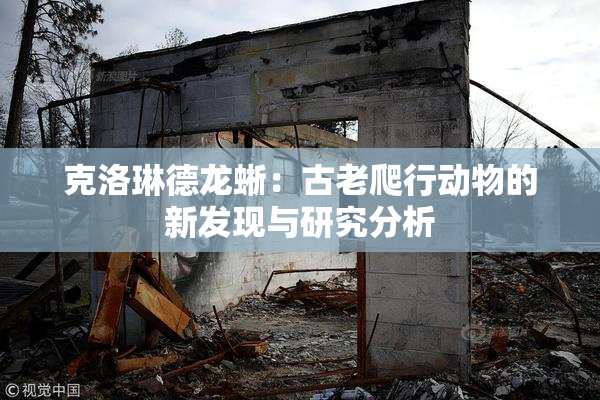 克洛琳德龙蜥：古老爬行动物的新发现与研究分析