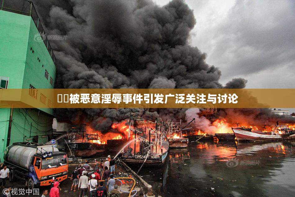 妺妺被恶意淫辱事件引发广泛关注与讨论