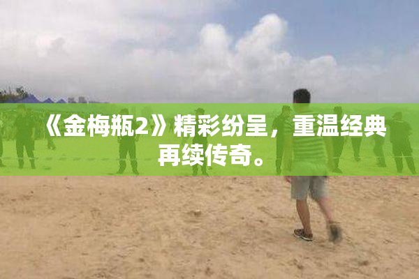 《金梅瓶2》精彩纷呈，重温经典再续传奇。