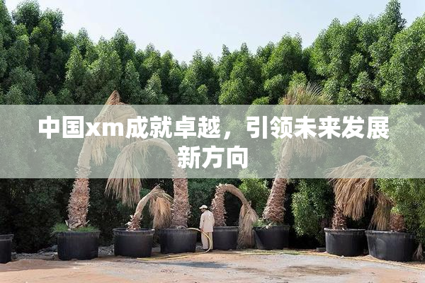 中国xm成就卓越，引领未来发展新方向