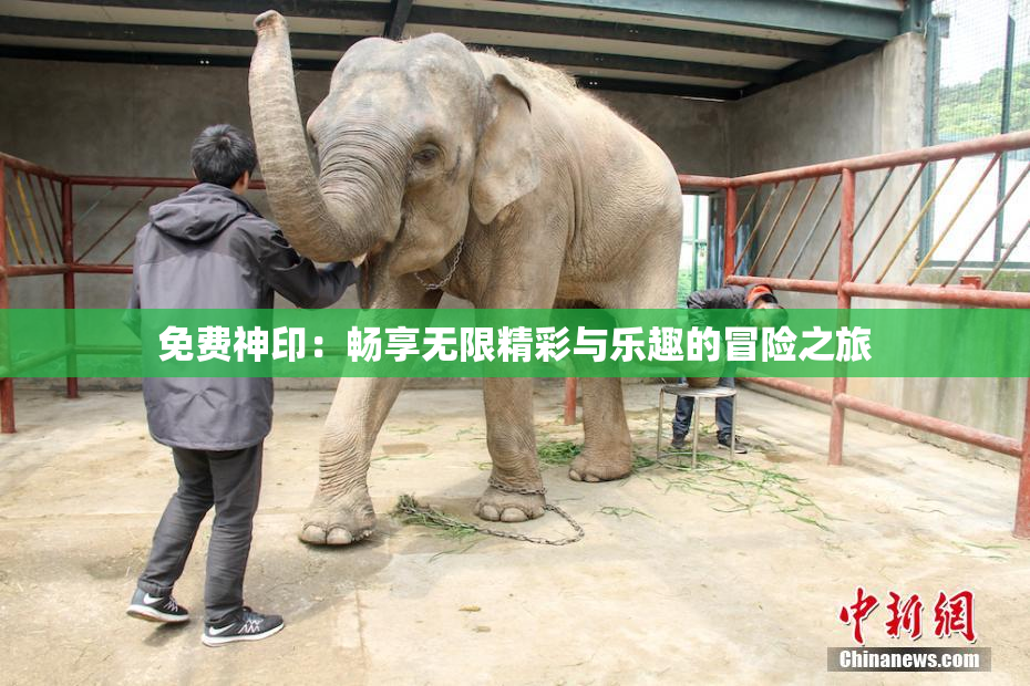免费神印：畅享无限精彩与乐趣的冒险之旅