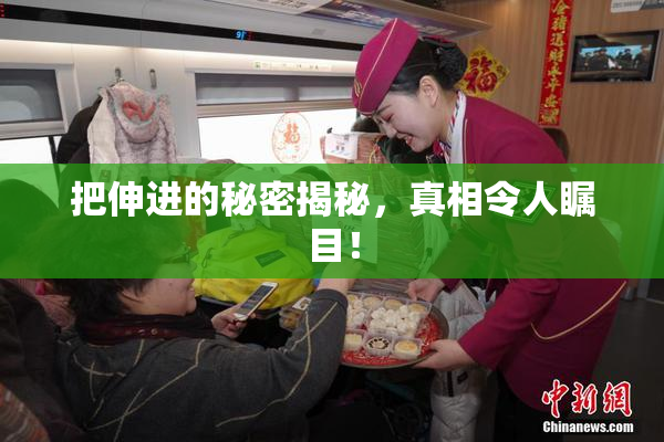 把伸进的秘密揭秘，真相令人瞩目！