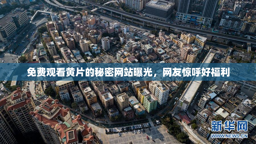 免费观看黄片的秘密网站曝光，网友惊呼好福利