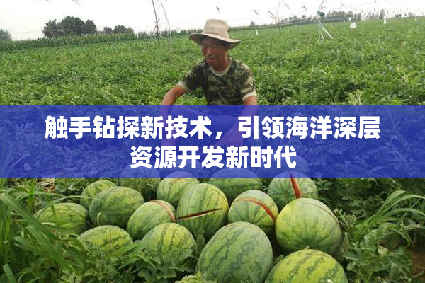 触手钻探新技术，引领海洋深层资源开发新时代