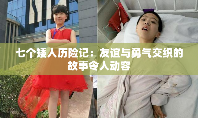七个矮人历险记：友谊与勇气交织的故事令人动容