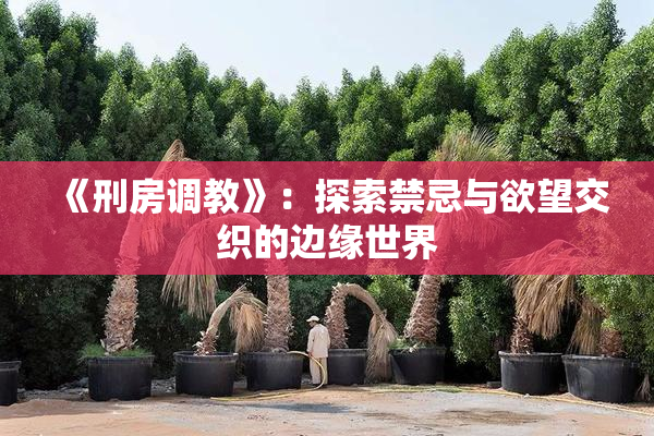 《刑房调教》：探索禁忌与欲望交织的边缘世界