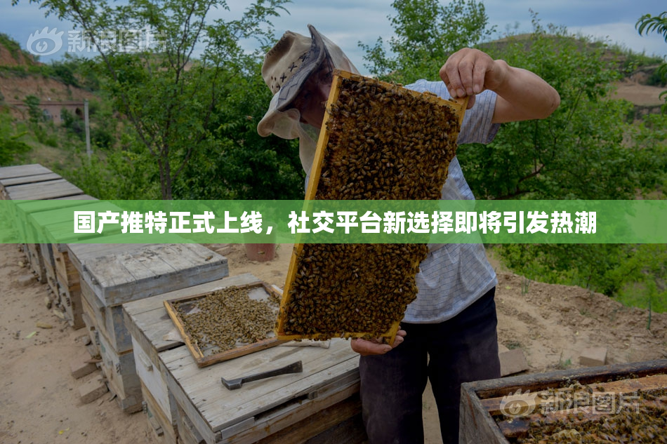 国产推特正式上线，社交平台新选择即将引发热潮