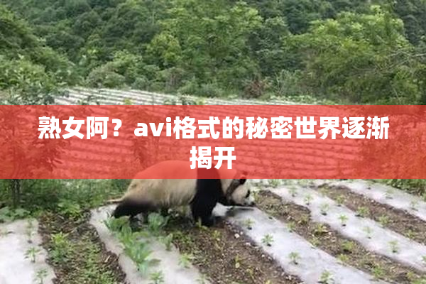 熟女阿？avi格式的秘密世界逐渐揭开