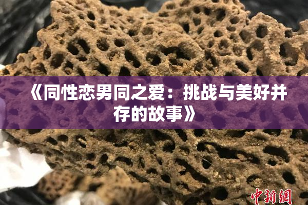 《同性恋男同之爱：挑战与美好并存的故事》