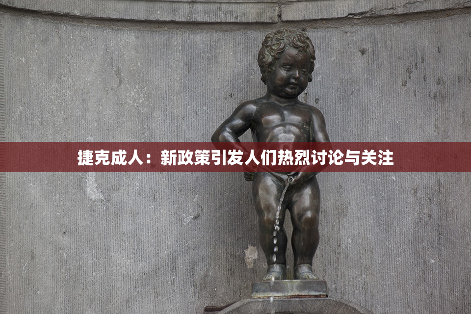 捷克成人：新政策引发人们热烈讨论与关注
