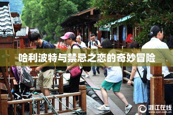 哈利波特与禁忌之恋的奇妙冒险