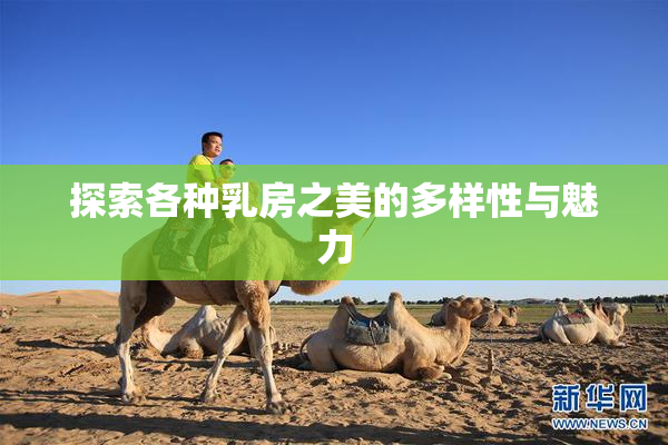 探索各种乳房之美的多样性与魅力