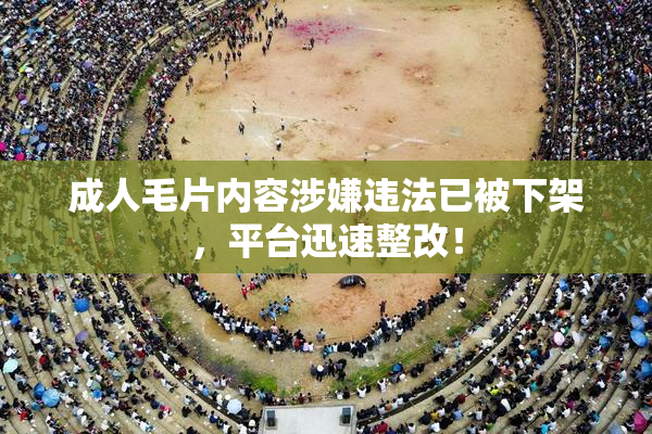成人毛片内容涉嫌违法已被下架，平台迅速整改！