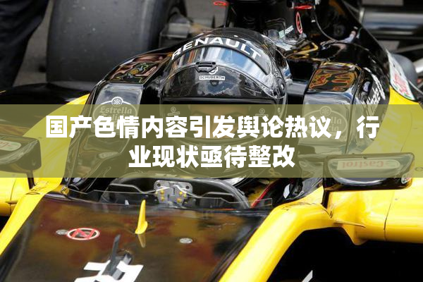 国产色情内容引发舆论热议，行业现状亟待整改