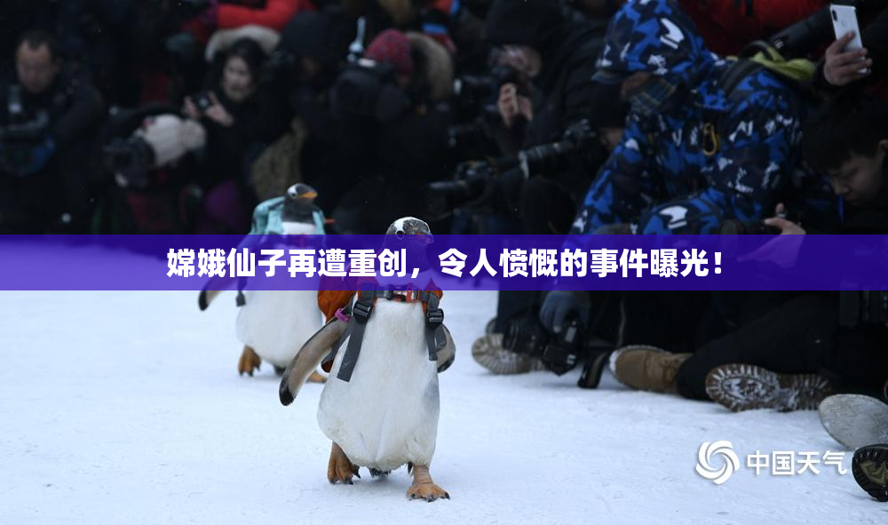 嫦娥仙子再遭重创，令人愤慨的事件曝光！