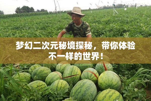 梦幻二次元秘境探秘，带你体验不一样的世界！
