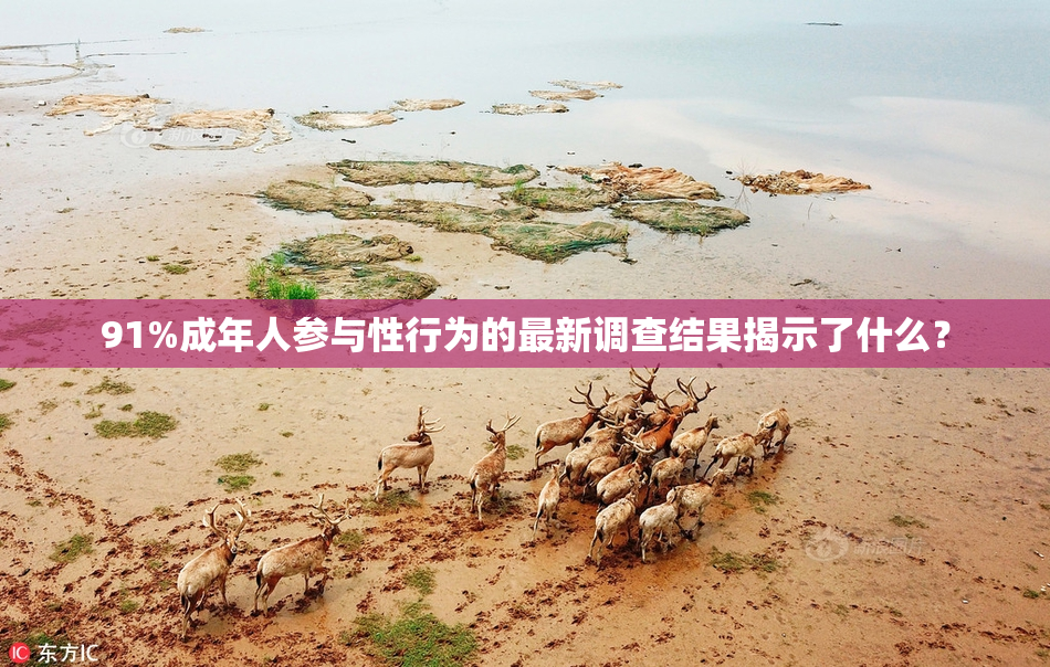91%成年人参与性行为的最新调查结果揭示了什么？