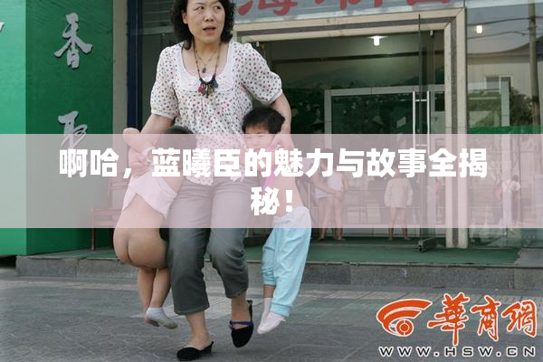 啊哈，蓝曦臣的魅力与故事全揭秘！