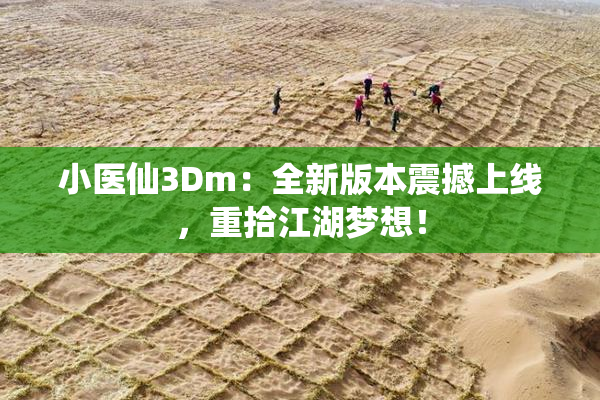 小医仙3Dm：全新版本震撼上线，重拾江湖梦想！