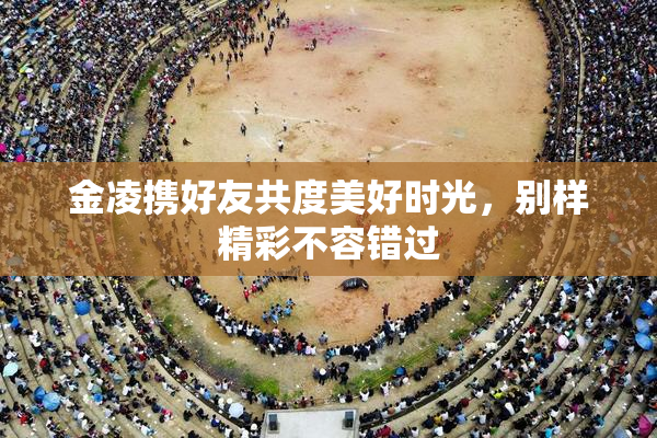 金凌携好友共度美好时光，别样精彩不容错过