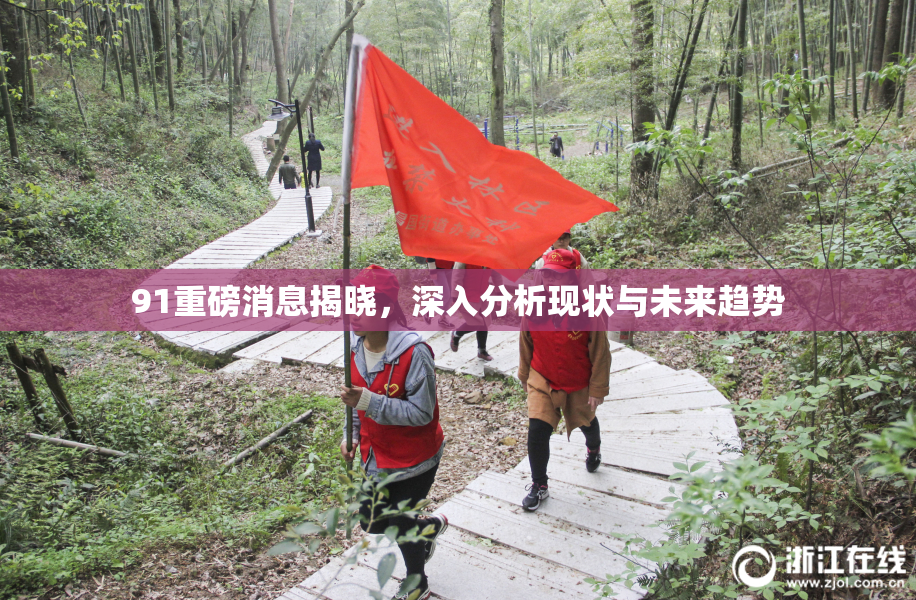 91重磅消息揭晓，深入分析现状与未来趋势