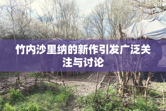 竹内沙里纳的新作引发广泛关注与讨论