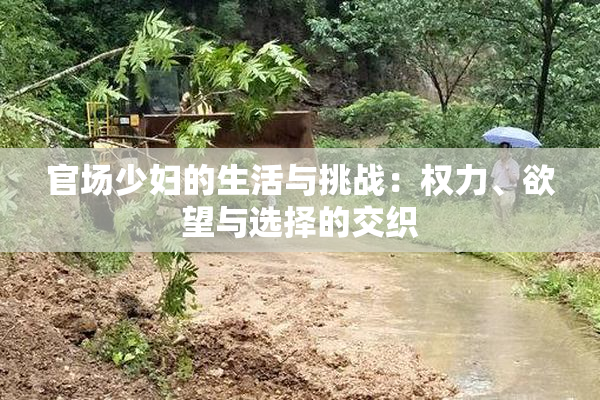 官场少妇的生活与挑战：权力、欲望与选择的交织