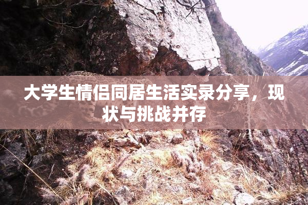 大学生情侣同居生活实录分享，现状与挑战并存