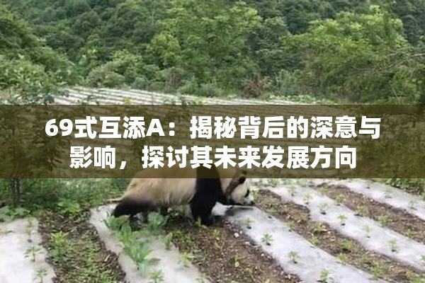 69式互添A：揭秘背后的深意与影响，探讨其未来发展方向