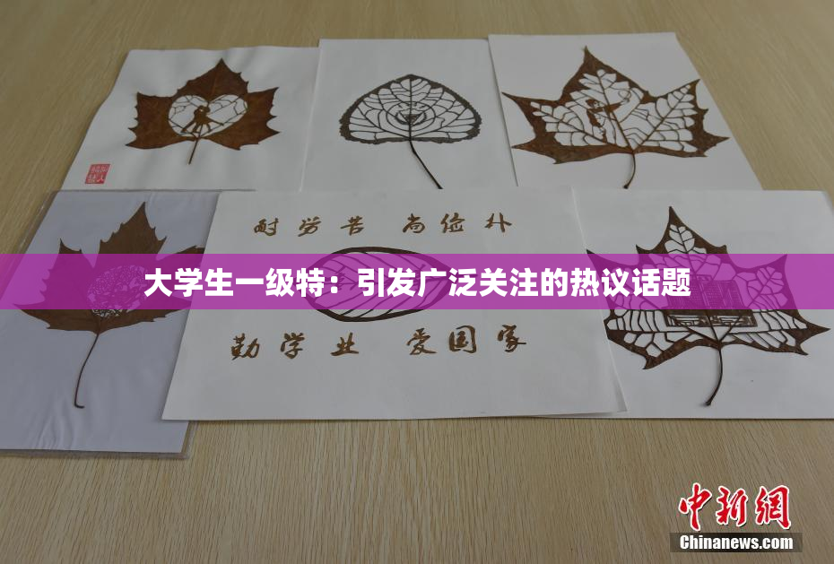 大学生一级特：引发广泛关注的热议话题