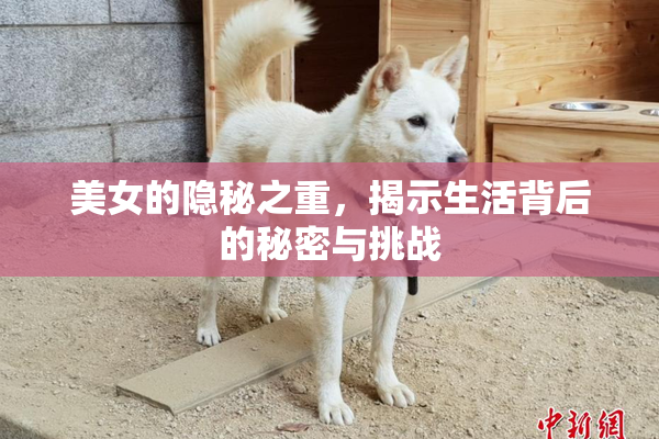 美女的隐秘之重，揭示生活背后的秘密与挑战