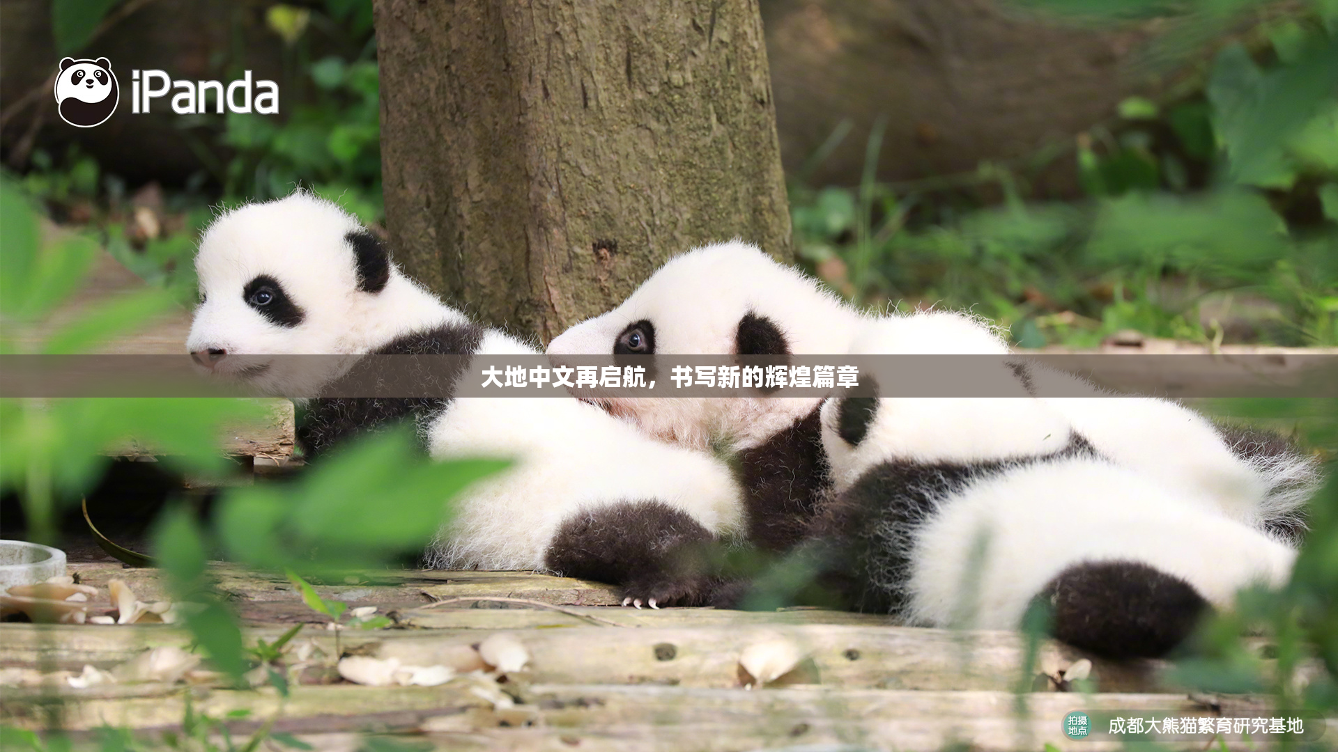 大地中文再启航，书写新的辉煌篇章