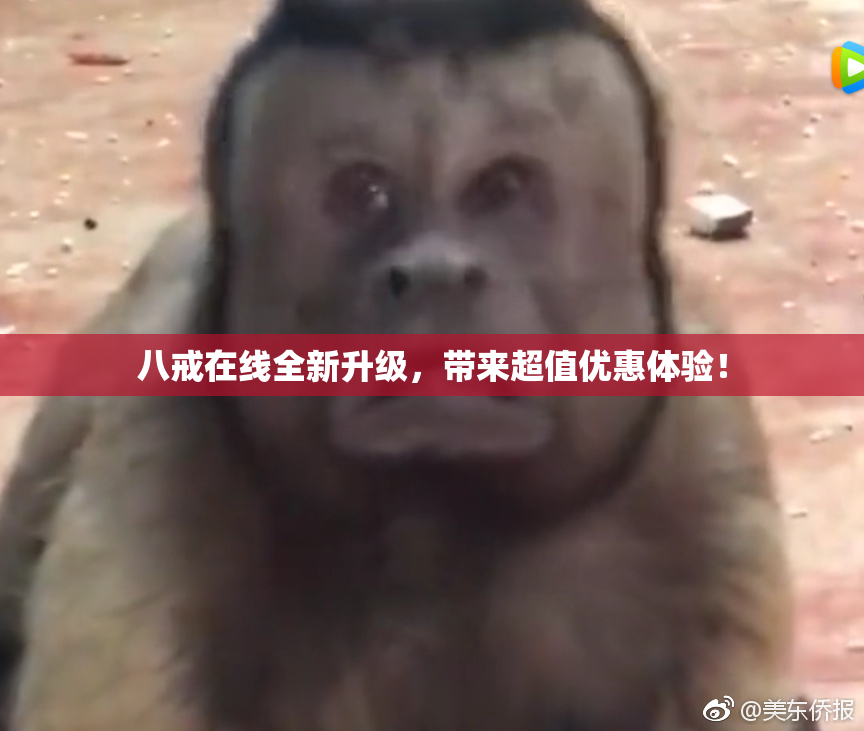 八戒在线全新升级，带来超值优惠体验！