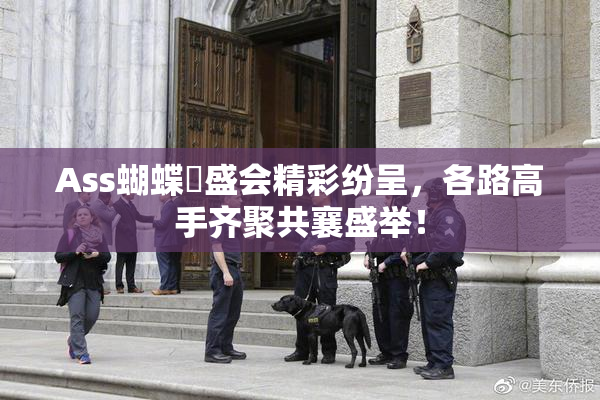 Ass蝴蝶泬盛会精彩纷呈，各路高手齐聚共襄盛举！