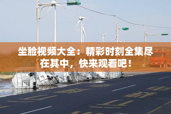 坐脸视频大全：精彩时刻全集尽在其中，快来观看吧！