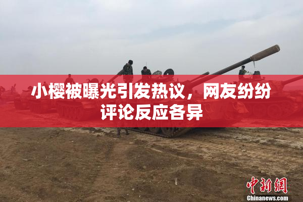 小樱被曝光引发热议，网友纷纷评论反应各异