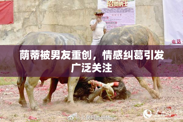 荫蒂被男友重创，情感纠葛引发广泛关注
