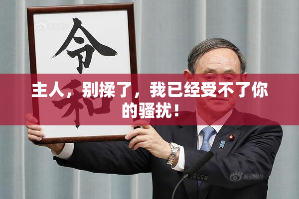 主人，别揉了，我已经受不了你的骚扰！
