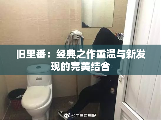 旧里番：经典之作重温与新发现的完美结合
