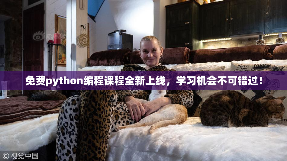 免费python编程课程全新上线，学习机会不可错过！