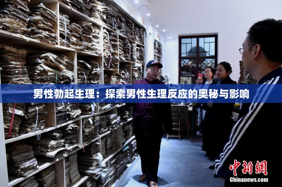 男性勃起生理：探索男性生理反应的奥秘与影响