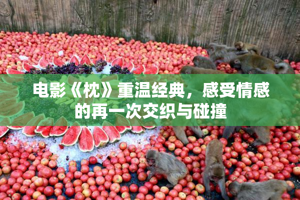 电影《枕》重温经典，感受情感的再一次交织与碰撞