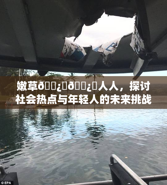 嫩草🌿‌🌿‌人人，探讨社会热点与年轻人的未来挑战