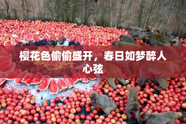 樱花色偷偷盛开，春日如梦醉人心弦